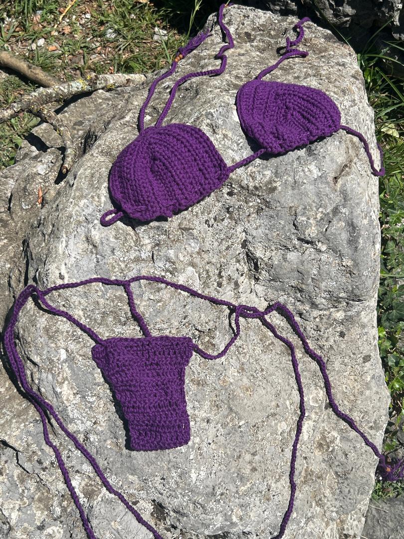 Roxa Micro Bikini Set