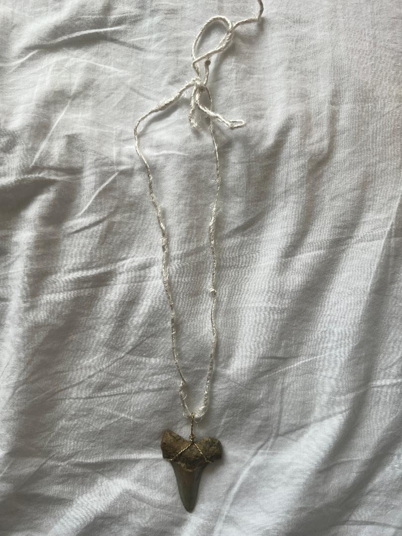 Large shark tooth necklace