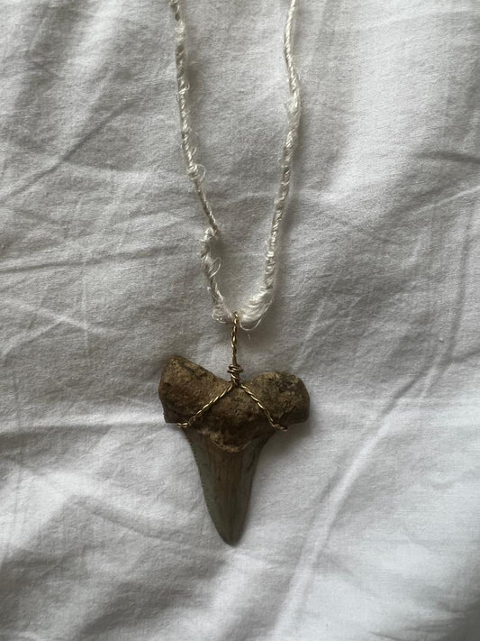 Large shark tooth necklace